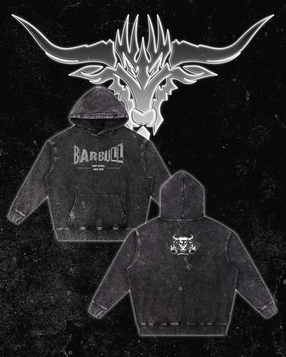 Snow Wash Hand-Frayed Heavyweight  Hoodie