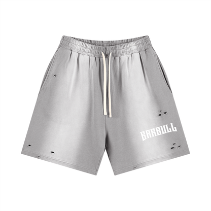 Sun Fade Distressed Shorts