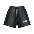Sun Fade Distressed Shorts